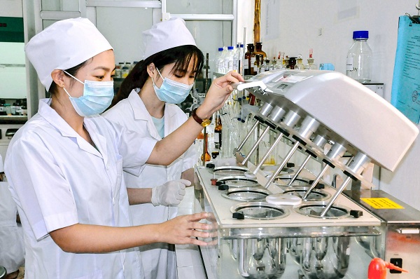 Dược học gồm 5 chuyên ngành chính, mỗi lĩnh vực giữ một vai trò riêng trong nghiên cứu, sản xuất và sử dụng thuốc